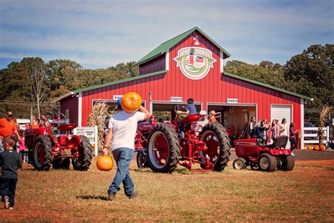 downs farm denver opening times.